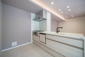 Ｓｈａｍａｉｓｏｎ　ｈｉｌｌｓ　白壁 0103号-8