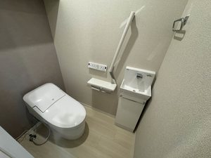 Ｓｈａｍａｉｓｏｎ　ｈｉｌｌｓ　白壁 0103号-11