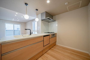 Ｓｈａｍａｉｓｏｎ　ｈｉｌｌｓ　白壁 0201号-10