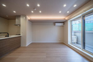 Ｓｈａｍａｉｓｏｎ　ｈｉｌｌｓ　白壁 0202号-3