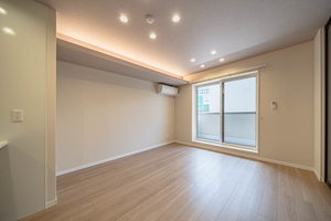 Ｓｈａｍａｉｓｏｎ　ｈｉｌｌｓ　白壁 0202号-4
