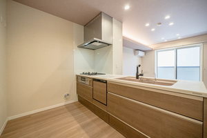 Ｓｈａｍａｉｓｏｎ　ｈｉｌｌｓ　白壁 0202号-10