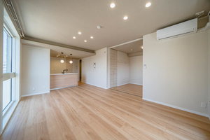 Ｓｈａｍａｉｓｏｎ　ｈｉｌｌｓ　白壁 0301号-3