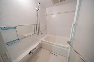 Ｓｈａｍａｉｓｏｎ　ｈｉｌｌｓ　白壁 0301号-10