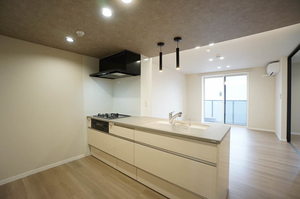 シャーメゾン菅大臣 0103号-5