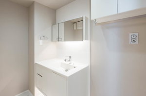 ＰＥＴＲＡ　ＩＫＥＳＨＩＴＡ 0203号-7
