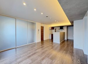 ザ　リッツ大手町 0201号-2