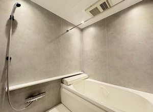 ザ　リッツ大手町 0201号-7