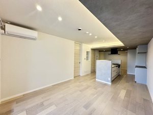 ザ　リッツ大手町 0203号-2