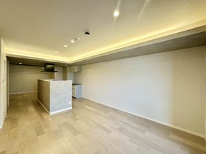 ザ　リッツ大手町 0203号-3