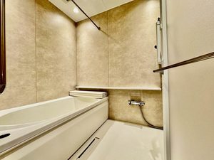 ザ　リッツ大手町 0303号-5