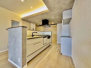 ザ　リッツ大手町 0303号-15