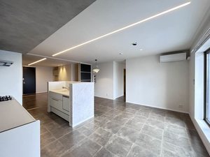 ザ リッツ大手町 0402号-5