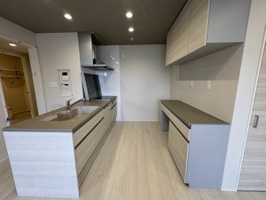 シャーメゾン国府宮駅前 0301号-4