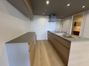 シャーメゾン国府宮駅前 0403号-5