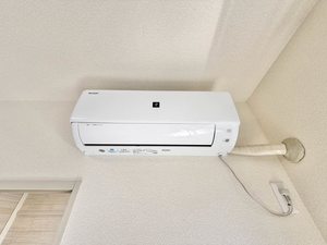 ハンプデンコート2 A102号-14