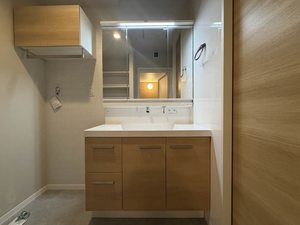 Lien 0101号-5