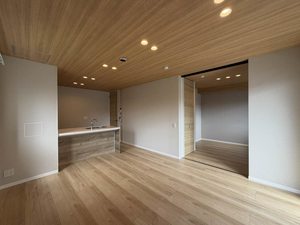 Lien 0103号-2