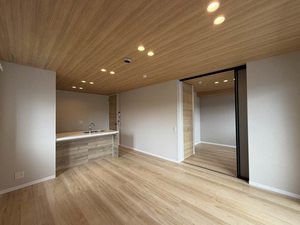 Lien 0203号-2