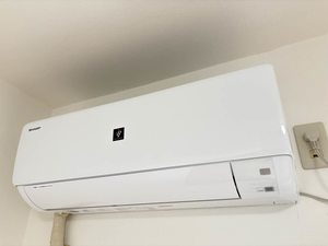 セイントフローレンスⅡ 0105号-12