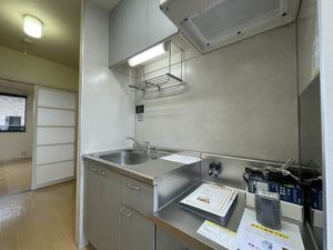 アークイガラシ 0201号-3