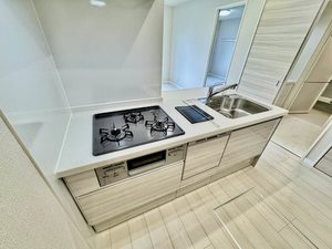 レフィアント岡崎 0102号-4