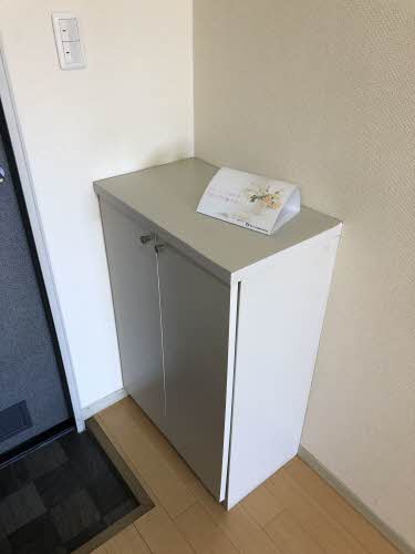 ＳｈｉｎｉｎｇＳｔａｒ 0203号-3