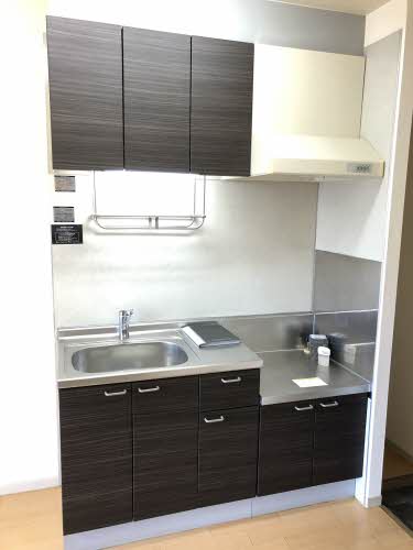 ＳｈｉｎｉｎｇＳｔａｒ 0203号-4