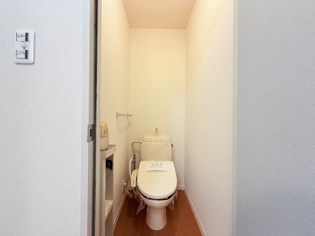 ディアスサフラン B201号-11