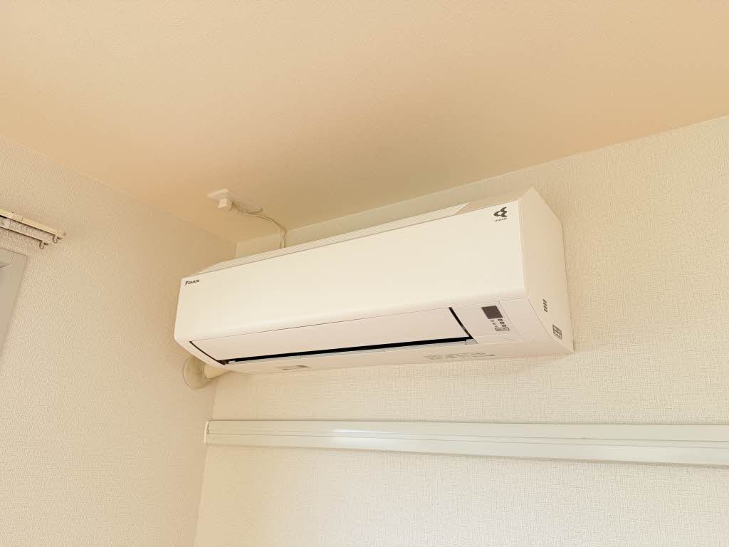 ディアスサフラン B201号-13