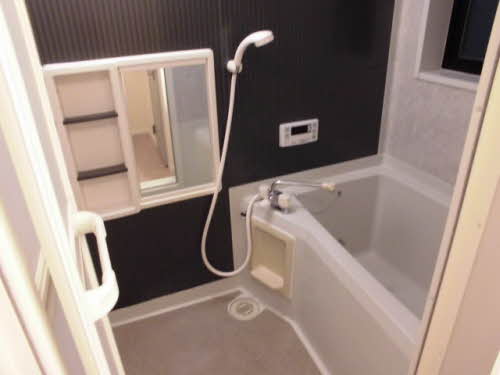 パストラルイイダ B201号-10