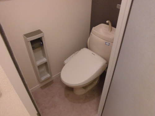 パストラルイイダ B201号-11