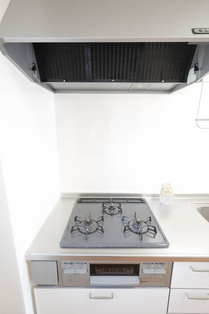 パークホーム青山 G103号-5