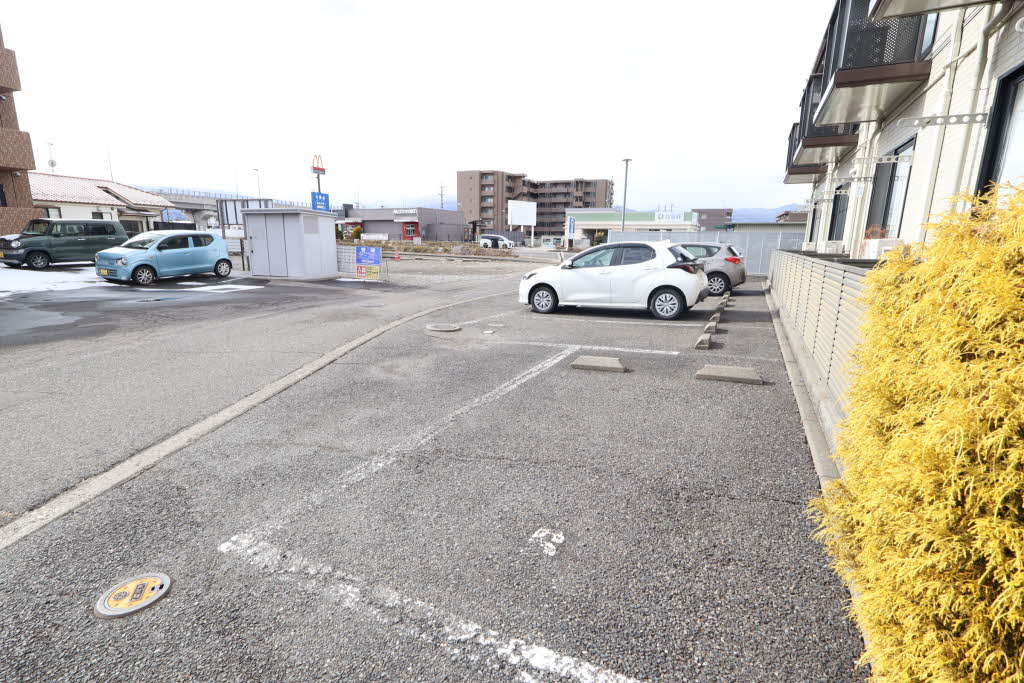 ＤＩＡＳ　Ｌｉｖｅ 0203号-12