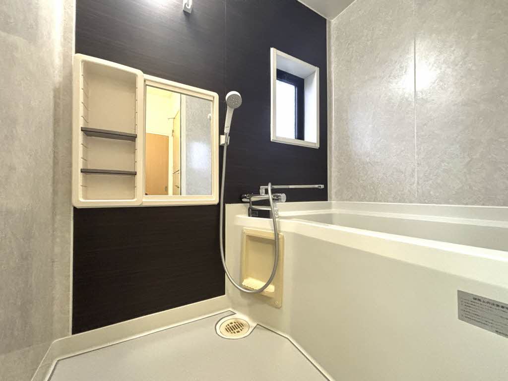 ディアスブリッツァ B202号-12