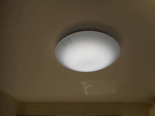 ハイブリッジ西原 A101号-10