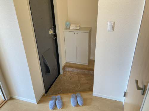 ディアスシリウス A105号-4