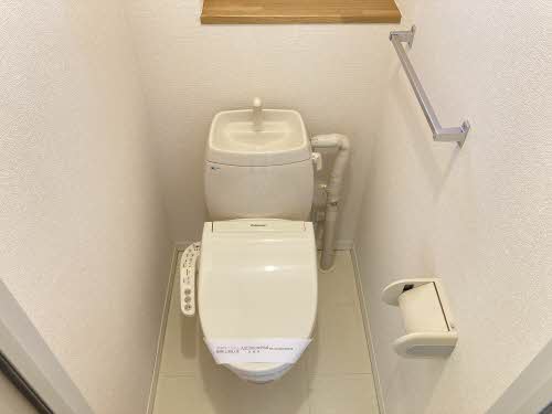 ディアスシリウス A105号-10