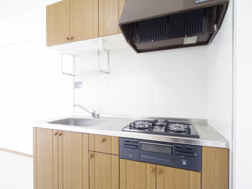 キャッスルサイド丹羽 0305号-5