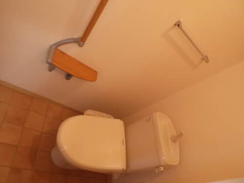 パストラルキノシタⅡ B106号-12