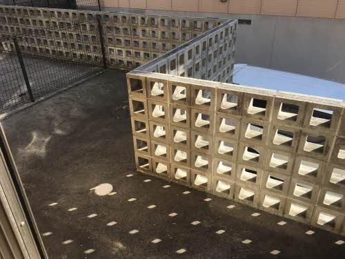 アドラブール平和ヶ丘 C00B号-9