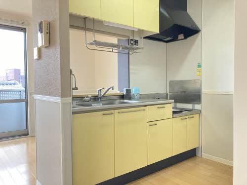 スカイタレイア 0201号-4