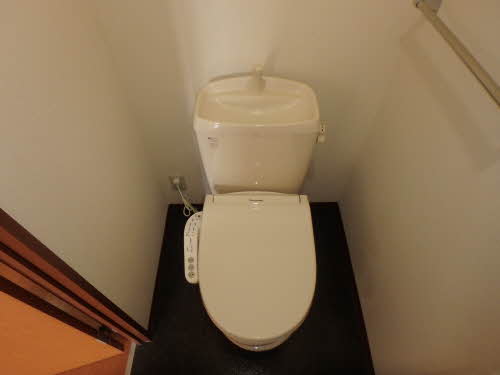 スプリングフィールド A202号-9