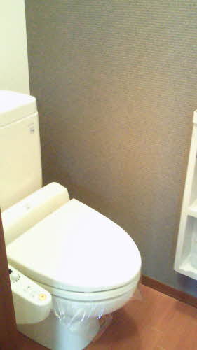 メゾンアクアⅡ B102号-11