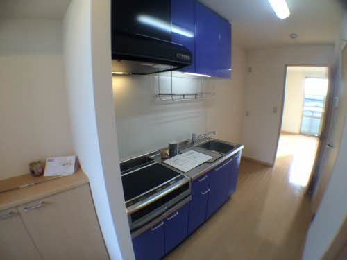 パストラルハイム 0205号-7