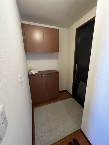 メゾン　フルーリー 0203号-11