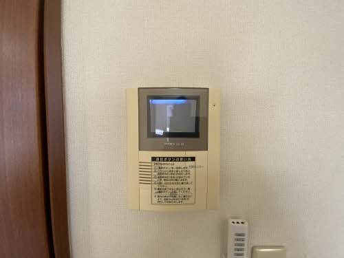 ＣＨＥＳＴＮＵＴ　ＨＩＬＬ 0101号-6