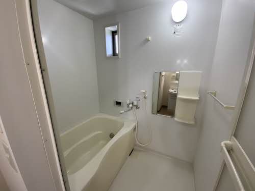 ＣＨＥＳＴＮＵＴ　ＨＩＬＬ 0101号-12