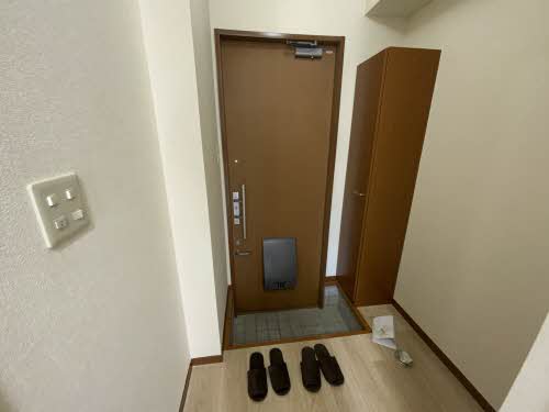 ＣＨＥＳＴＮＵＴ　ＨＩＬＬ 0101号-13