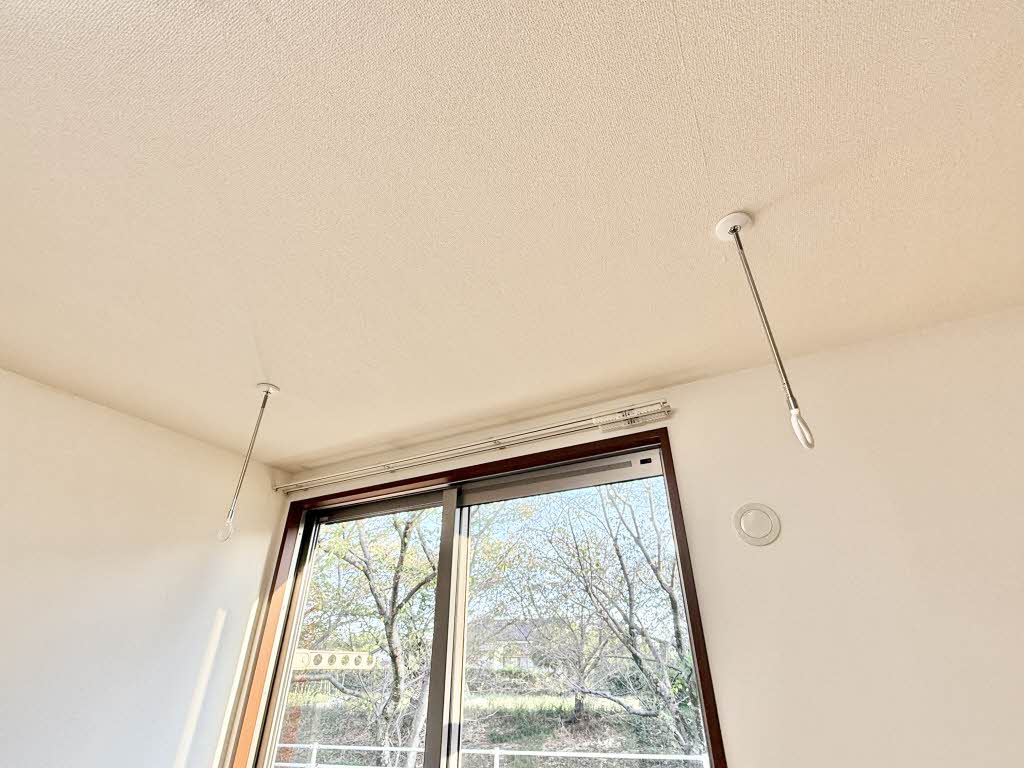 クリサ・ノーヴァ C101号-15